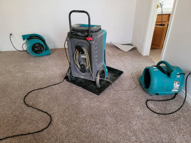 Best Carpet water damage restoration  in Marcus, IA