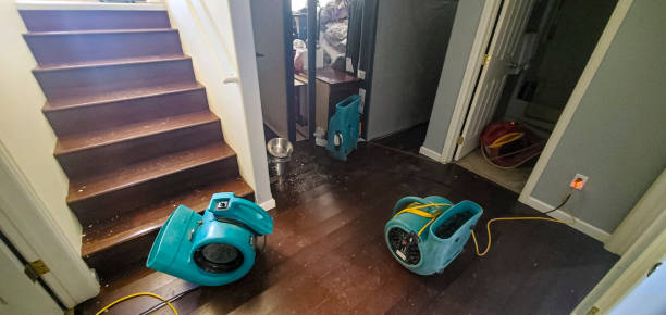 Water damage restoration experts in IA