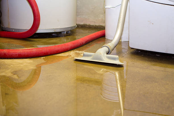 Best Residential water damage restoration  in Marcus, IA