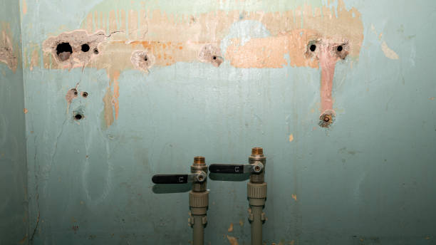 Best Water damage mitigation services  in Marcus, IA
