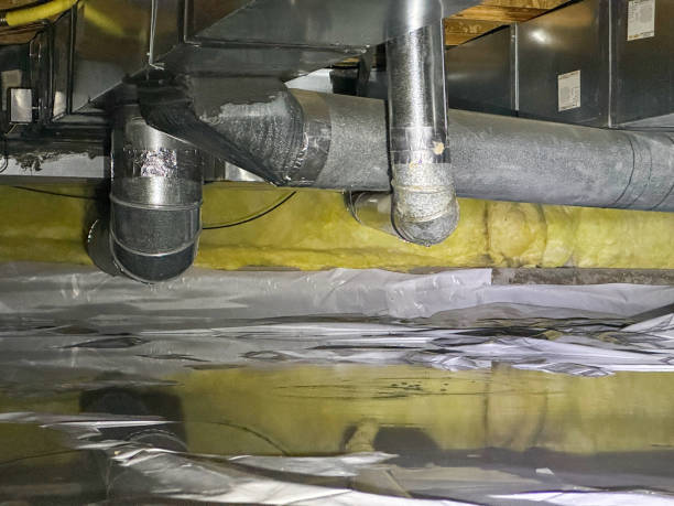 Best Basement water damage restoration  in Marcus, IA