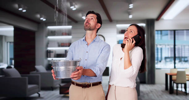 Best 24-hour water damage restoration  in Marcus, IA